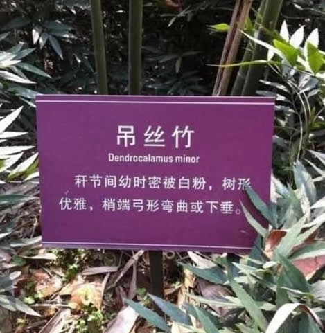 某市亚泰富苑内衣秀 亮瞎你的眼（图）